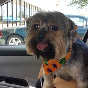 Meet your Posher, Monica